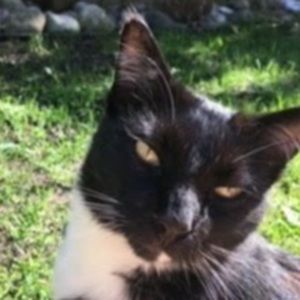 Meet your Posher, Lily